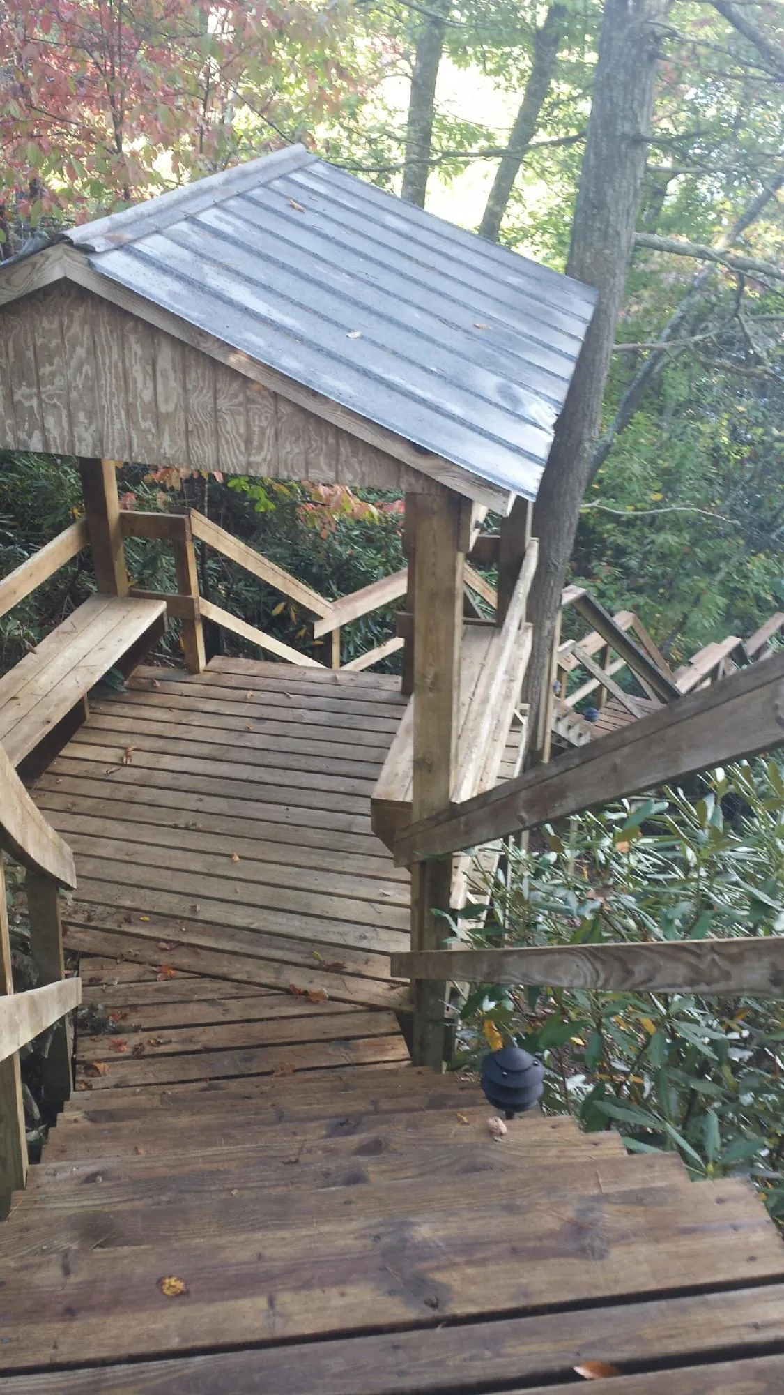Metal roofed shelter over wooden steps on a wooded walkway — Skylight Repair & Installation work by our crew in Leighton