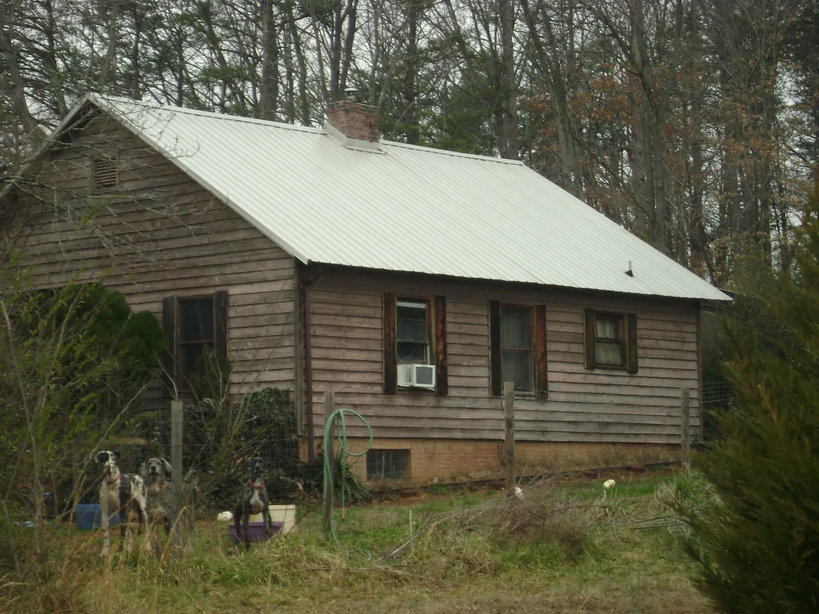 White metal roof on an old wood sided farmhouse, from a Asphalt Shingle Roof Repair job in Leighton